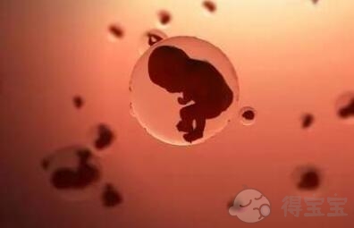 沈阳捐卵网站：2023年沈阳精英医院捐献精子做试管婴儿的费用是多少？