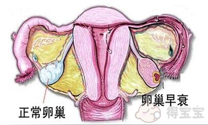 深圳55岁助孕：深圳妇科医院试管婴儿的成功率高吗？附：通过捐卵生男孩的费用清单。