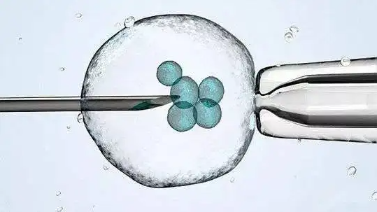 东营借卵-试管婴儿后卵泡增大的原因与患者本身有关