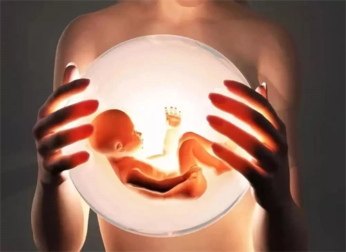太原借卵：借来的卵子也能让胎儿停止吗？试管婴儿胎儿停育的原因