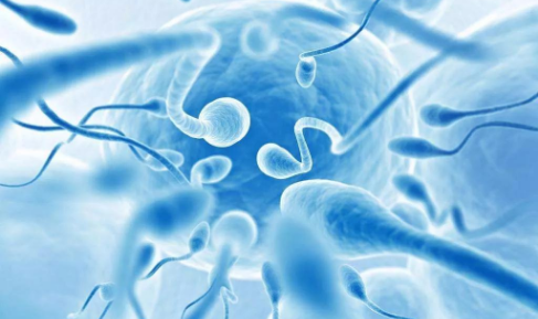 泉州助孕男孩50万起：精子异常率为98%的男性的试管婴儿成功率是多少？