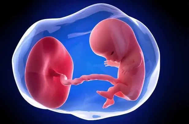 唐山供卵助孕生儿子费用：导致胎儿畸形的原因不容忽视